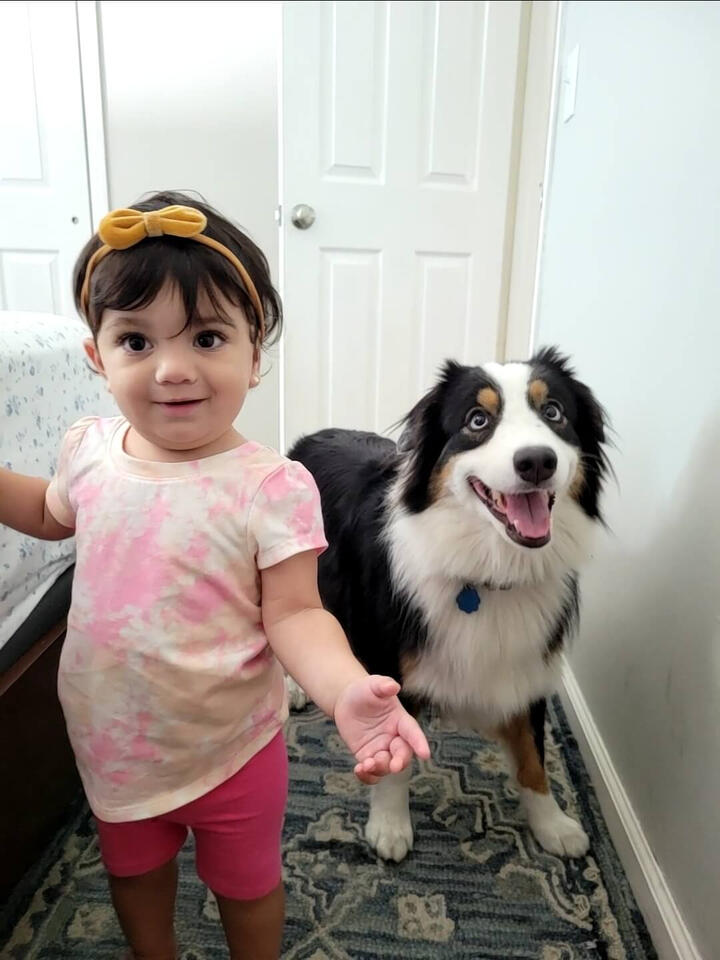Tuna the Australian Shepherd, standing next to her adorable human sister with a big smile!